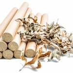 Immune Support TCM Toronto